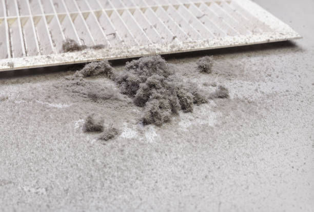 Best HVAC System Cleaning  in Auburn, IL