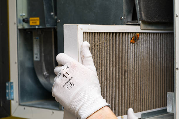 Best Air Duct Cleaning Near Me  in Auburn, IL