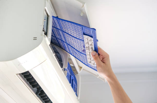 Best Professional Duct Cleaning Services  in Auburn, IL